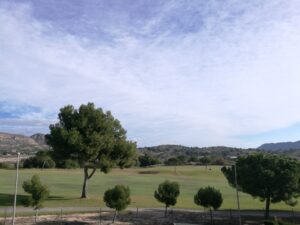 BEAUTIFUL SPACIOUS SEMI-DETACHED VILLA FIRST LINE ALENDA GOLF - REF 406 - Image 42