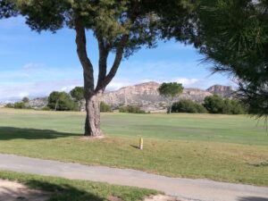 BEAUTIFUL SPACIOUS SEMI-DETACHED VILLA FIRST LINE ALENDA GOLF - REF 406 - Image 45